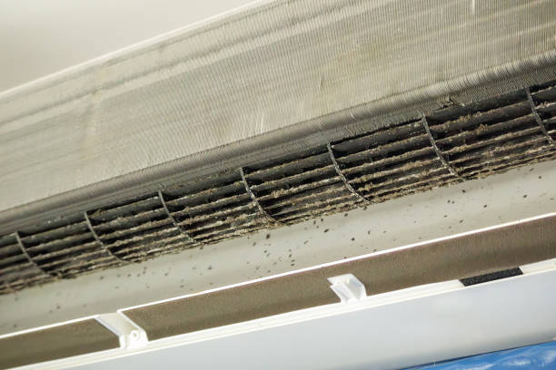 Best Best Air Duct Cleaning Company  in Weaver, AL